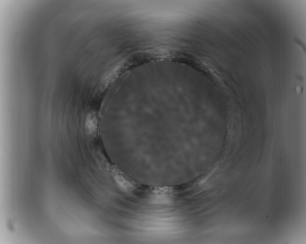 X0000100870720200806271113