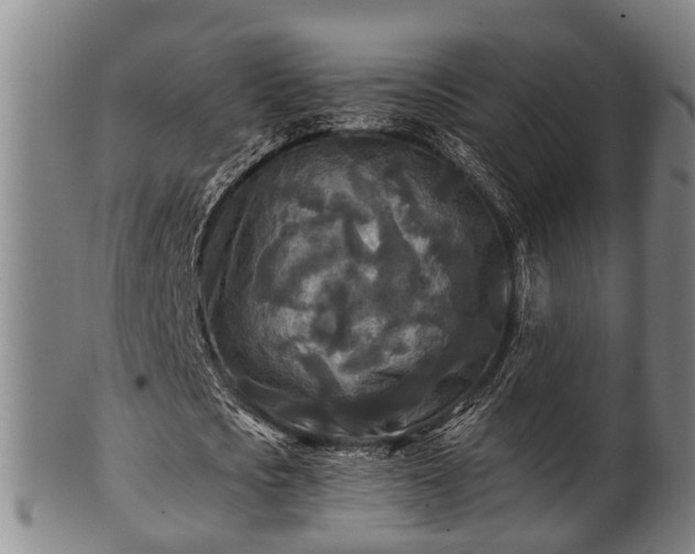 X0000100870721200806271112