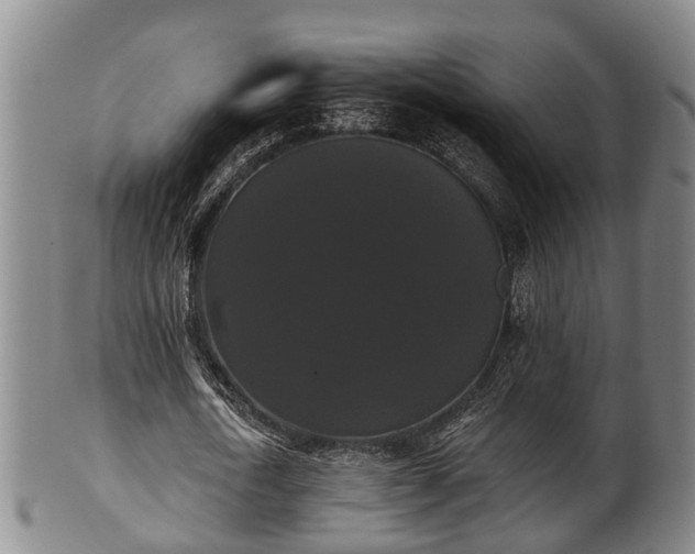 X0000100870722200806271112