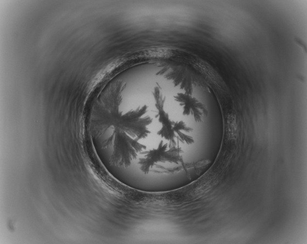 X0000100870726200806271112