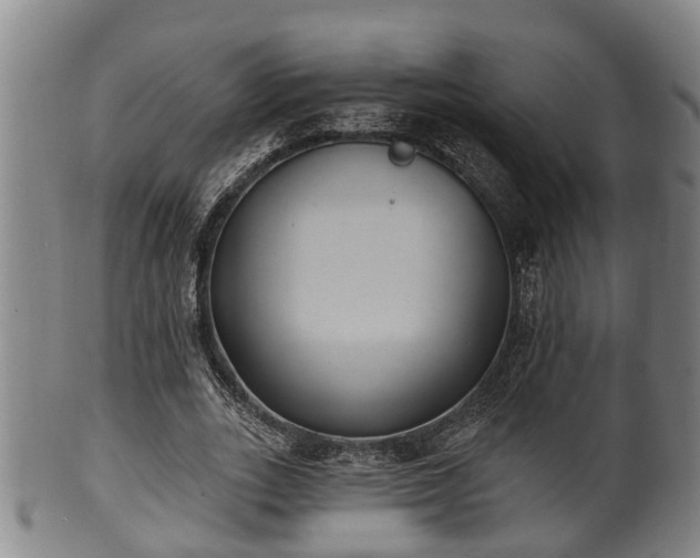 X0000100870727200806271112