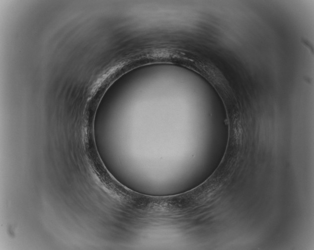 X0000100870728200806271112