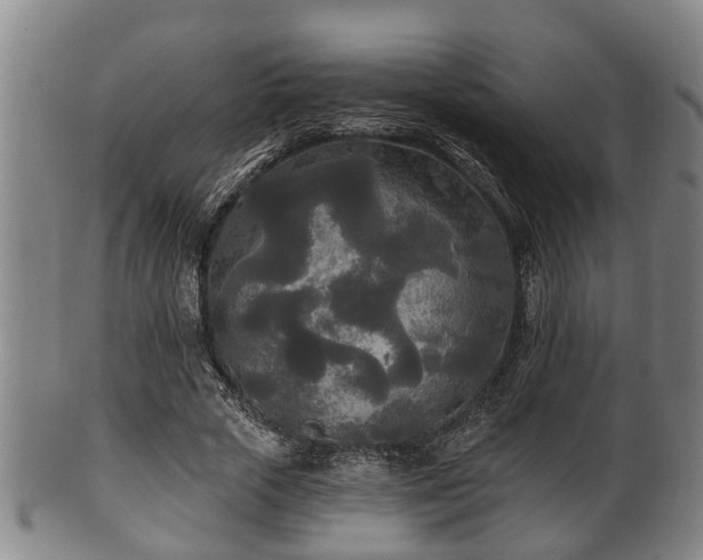 X0000100870729200806271112