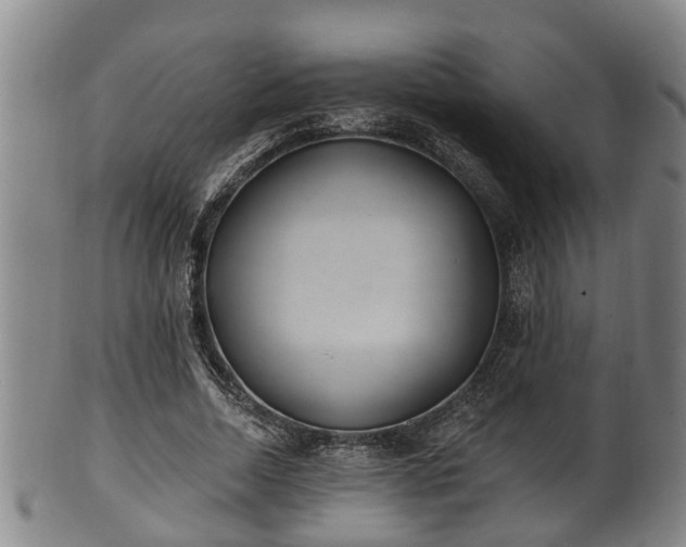 X0000100870730200806271112