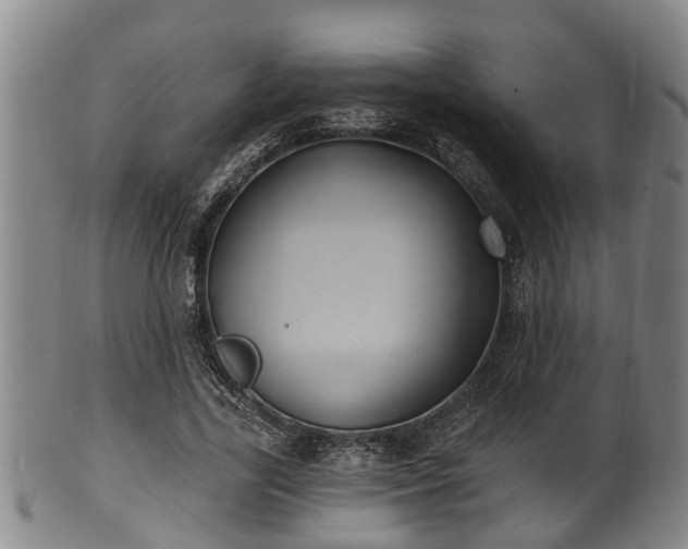 X0000100870731200806271112