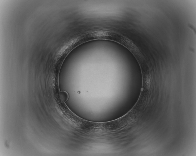 X0000100870732200806271112