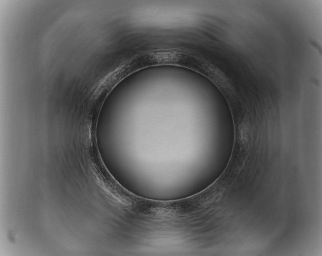 X0000100870733200806271112