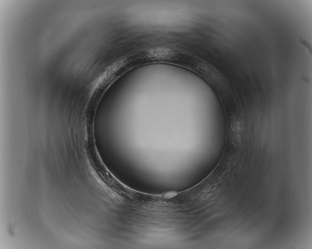 X0000100870734200806271112