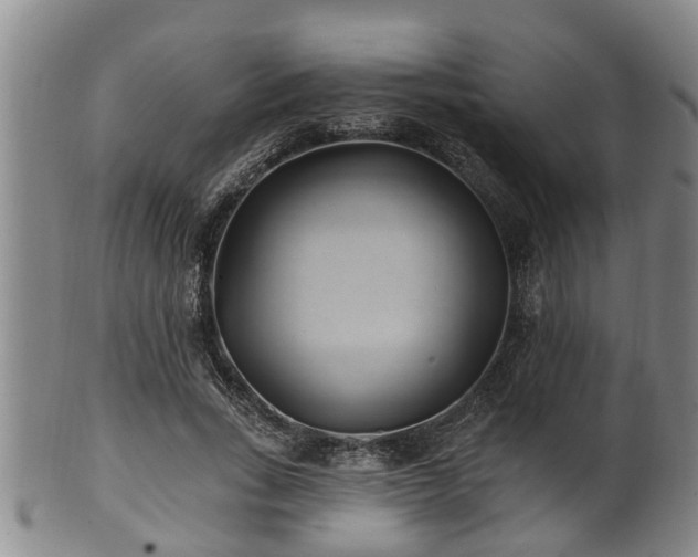 X0000100870735200806271112