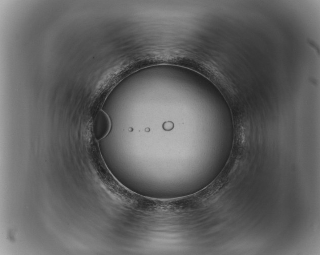 X0000100870736200806271112