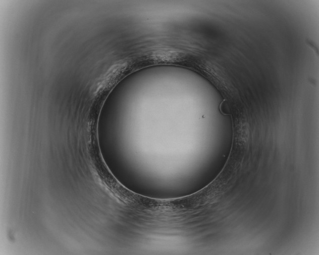 X0000100870738200806271112