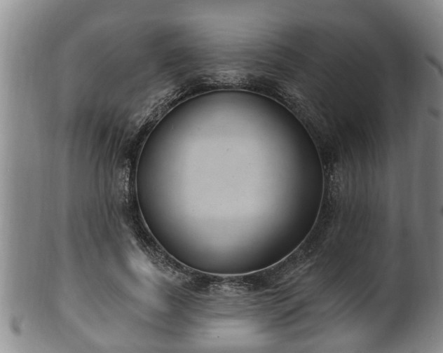 X0000100870739200806271112