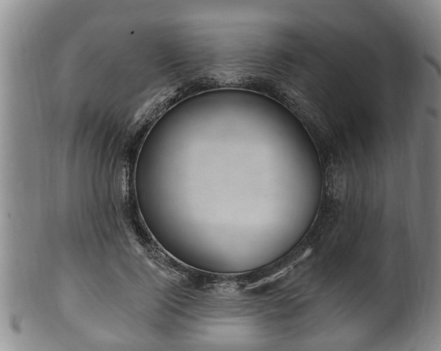 X0000100870740200806271112