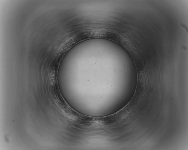 X0000100870741200806271112