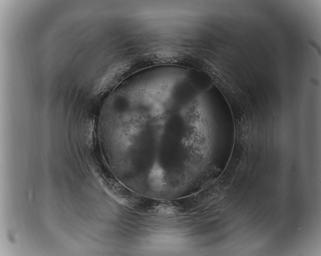 X0000100870742200806271112