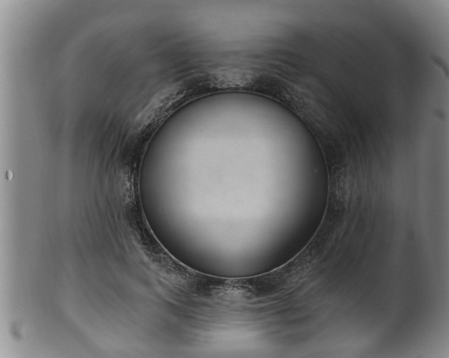 X0000100870743200806271112