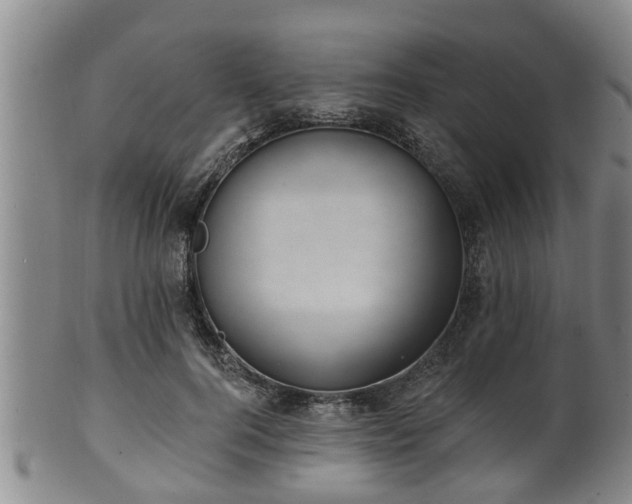 X0000100870744200806271112