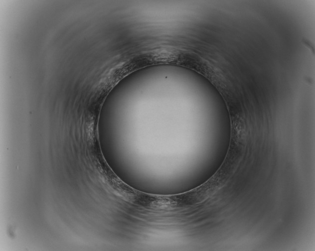 X0000100870745200806271112