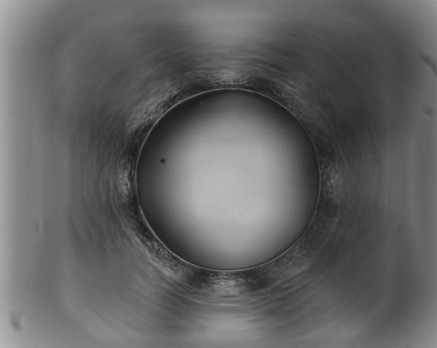 X0000100870746200806271112