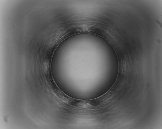 X0000100870747200806271112