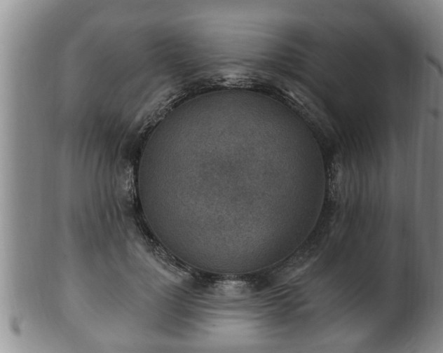 X0000100870748200806271112