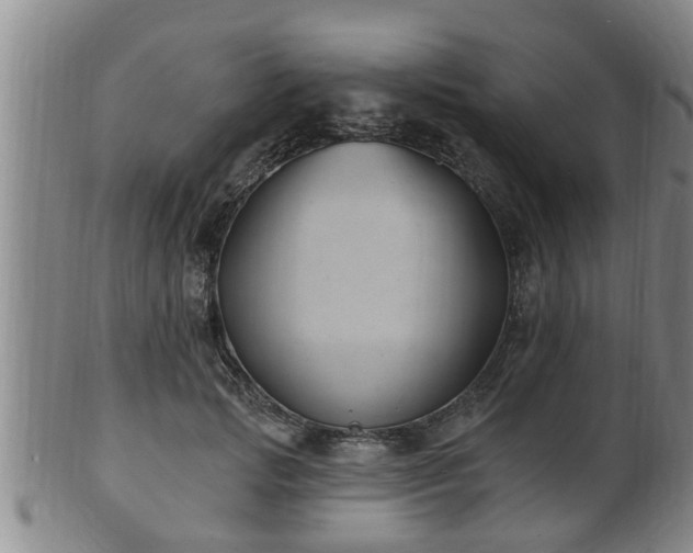 X0000100870749200806271112