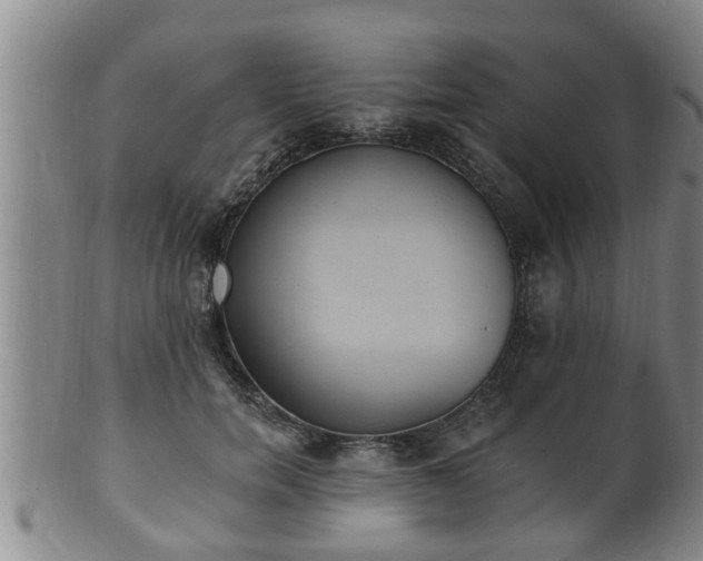 X0000100870750200806271112