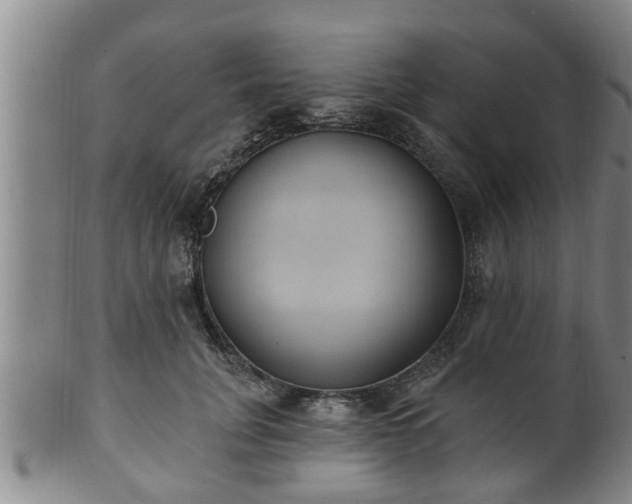 X0000100870751200806271112