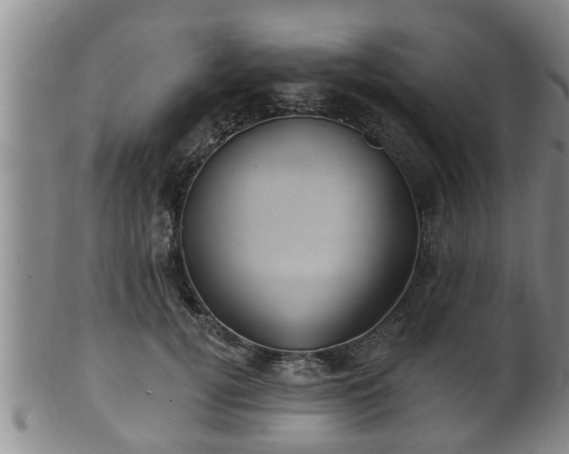 X0000100870752200806271112