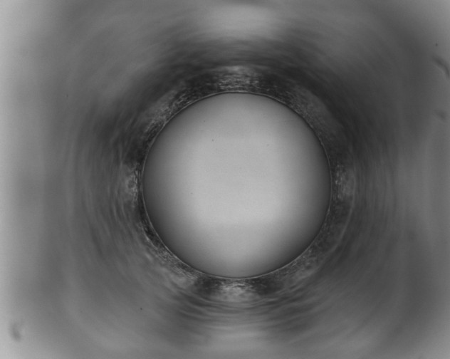 X0000100870753200806271112