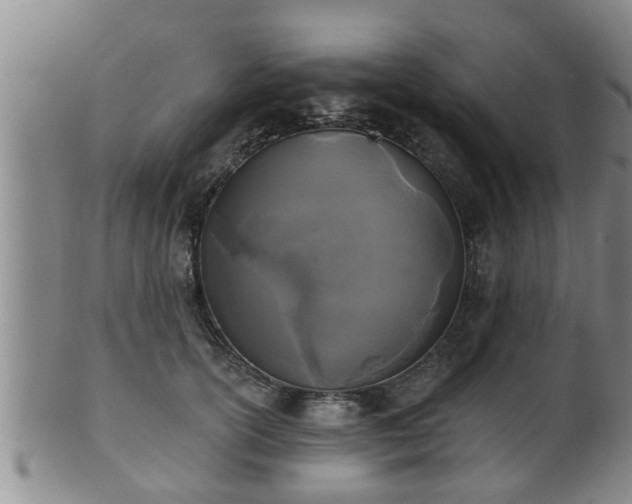 X0000100870754200806271112