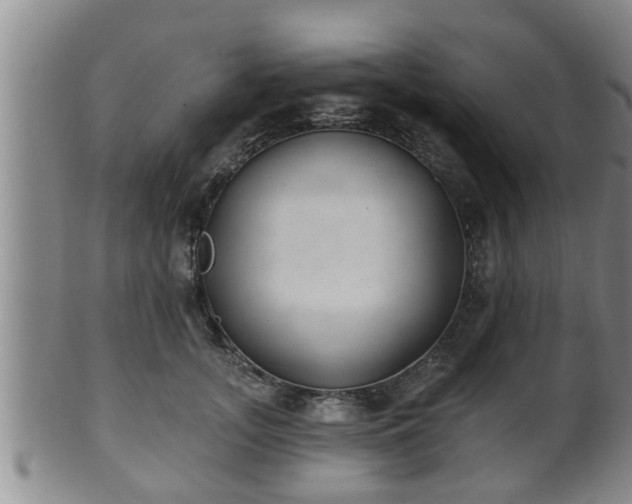 X0000100870755200806271112