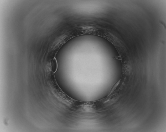 X0000100870756200806271112