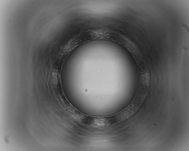 X0000100870757200806271112