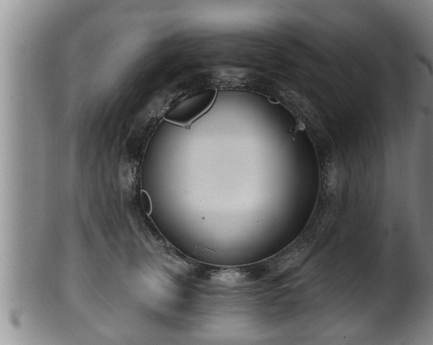 X0000100870759200806271112