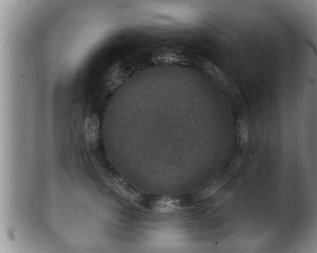 X0000100870760200806271112