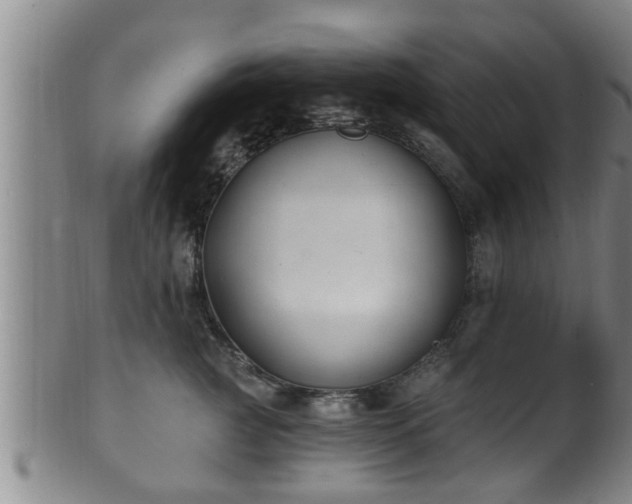 X0000100870761200806271112