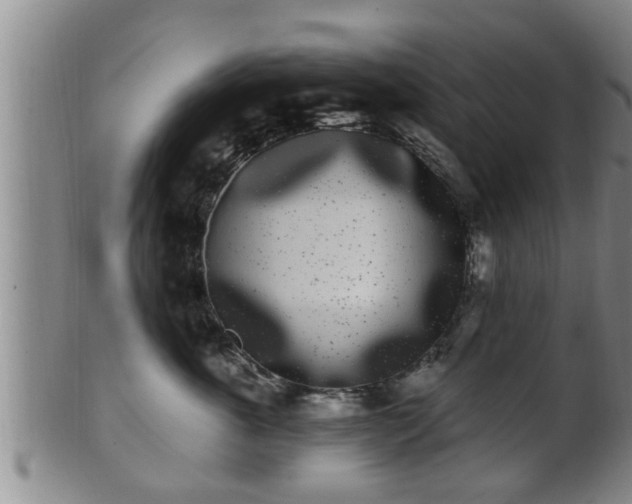 X0000100870763200806271112