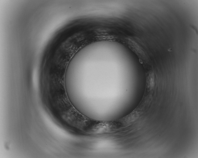 X0000100870764200806271113