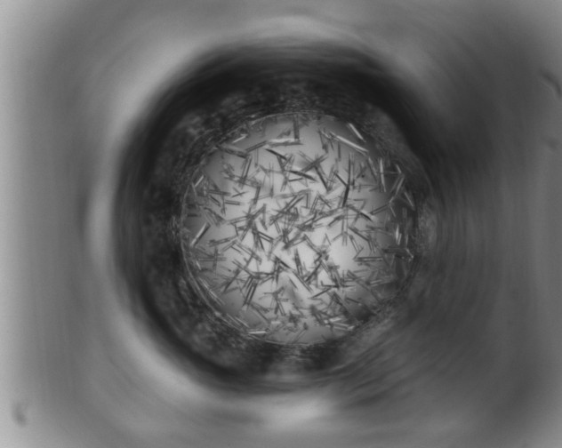 X0000100870765200806271113