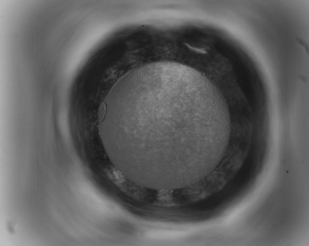 X0000100870766200806271113