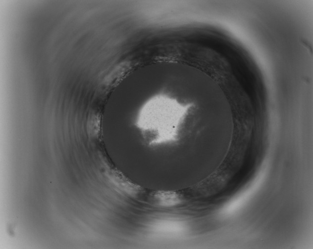 X0000100870767200806271113