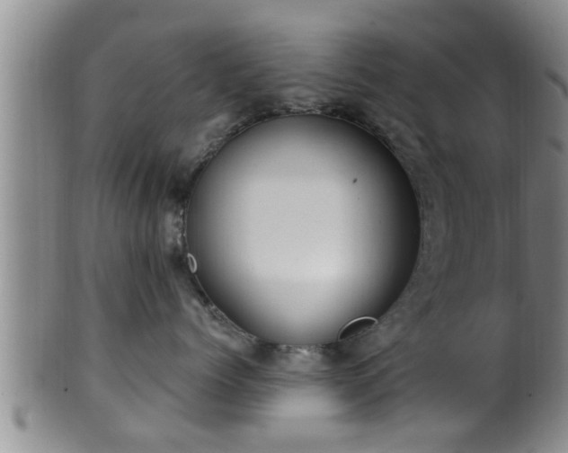 X0000100870768200806271113