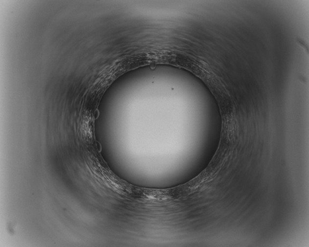 X0000100870770200806271112