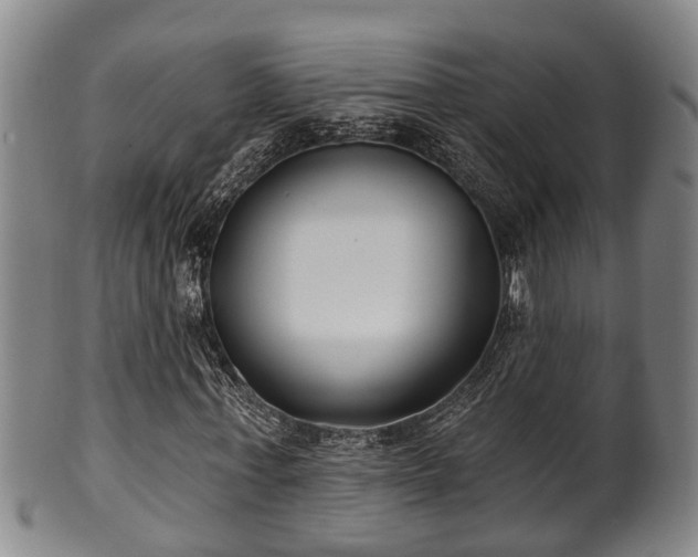 X0000100870771200806271112