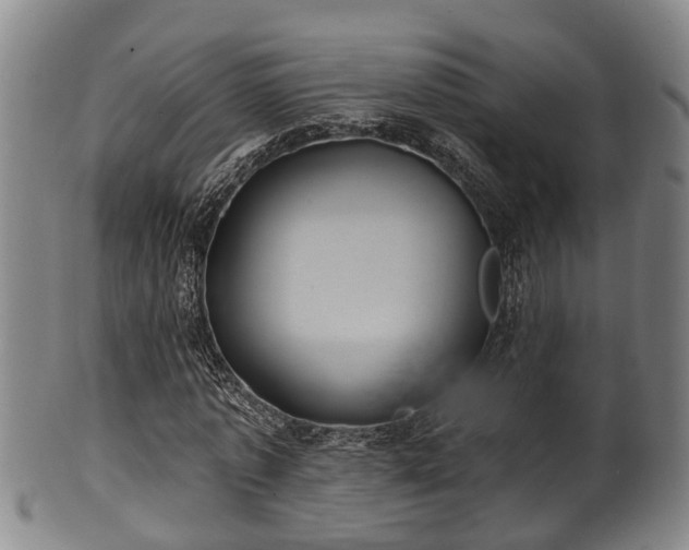 X0000100870773200806271112