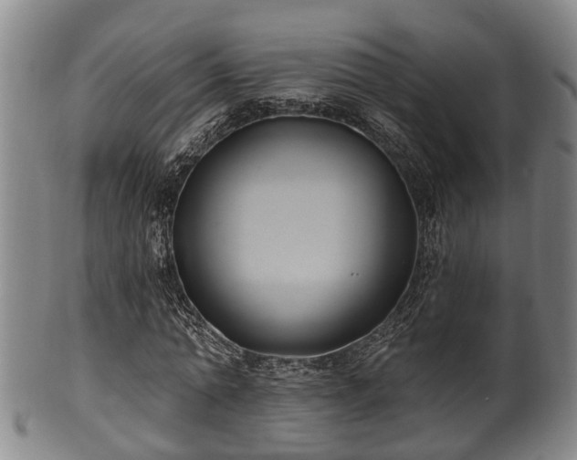 X0000100870774200806271112