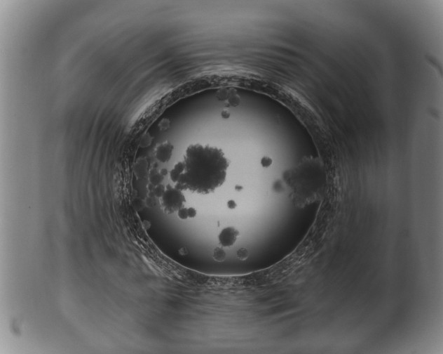 X0000100870775200806271112