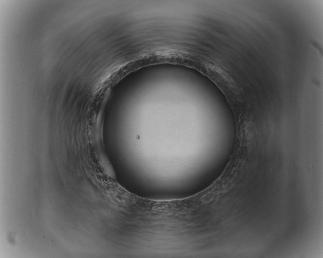 X0000100870776200806271112