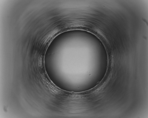 X0000100870777200806271112